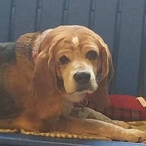 Meet your Posher, Donna